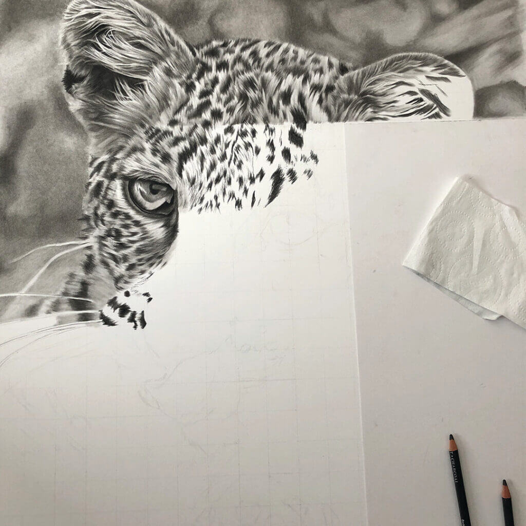 CHIPS | LEOPARD DRAWING - Jess Ridley Art